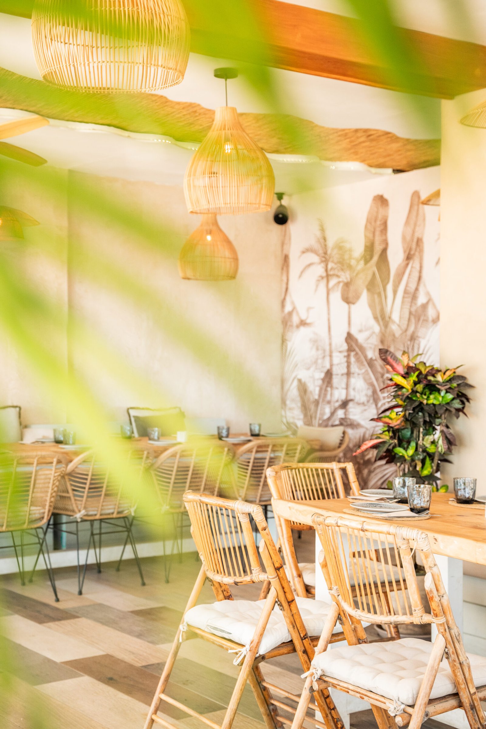 Terraza con plantas y luz natural